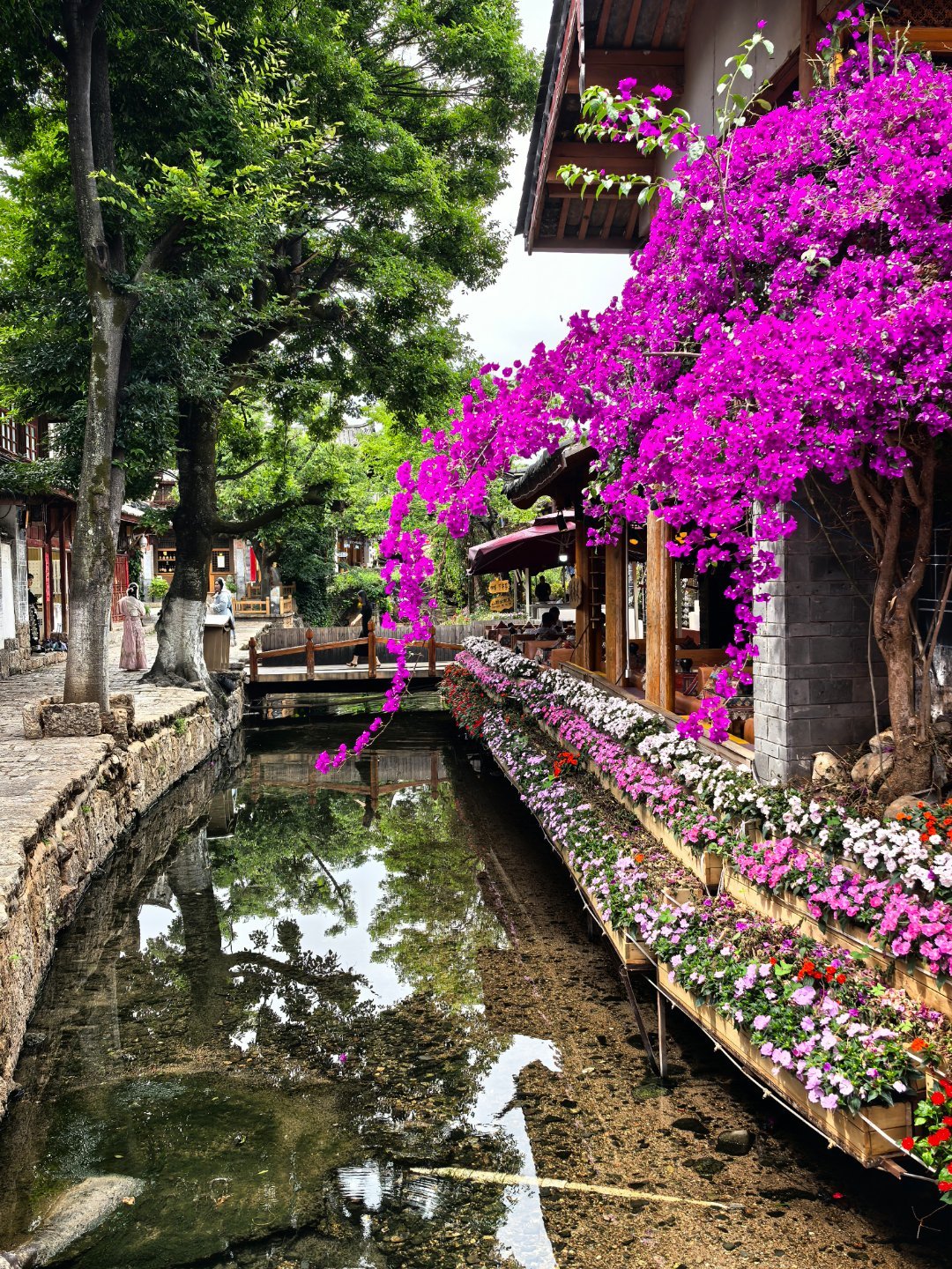 上周，时隔二十年后第三次去丽江，先给一个评价：丽江的旅游整体上做得很不错。作为一