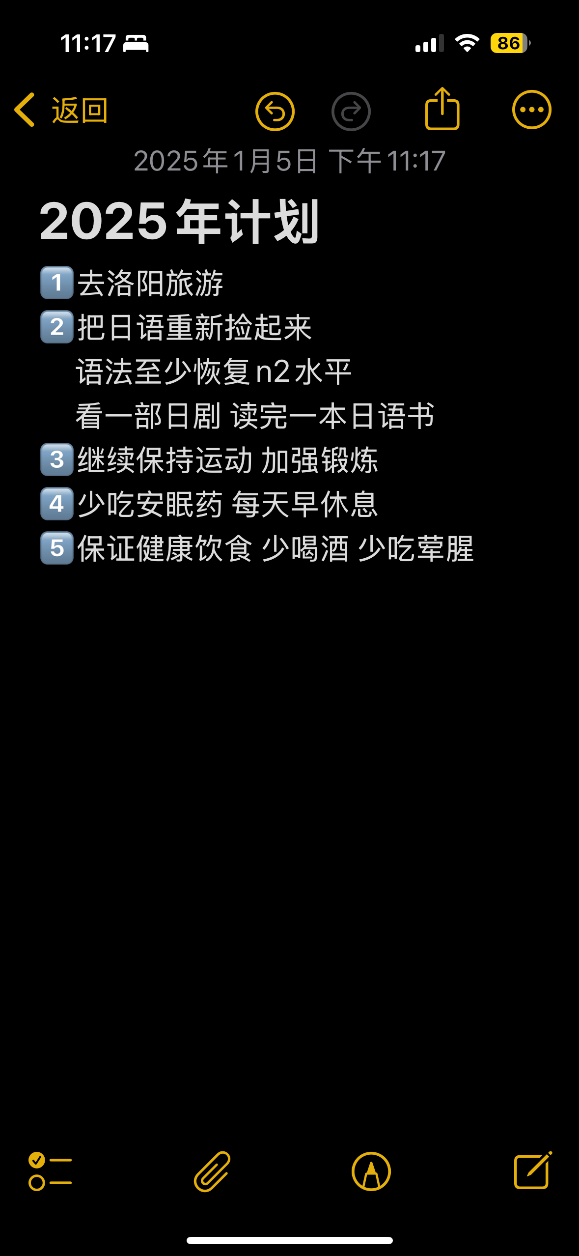 朴素而平淡的2025年计划（待补充 