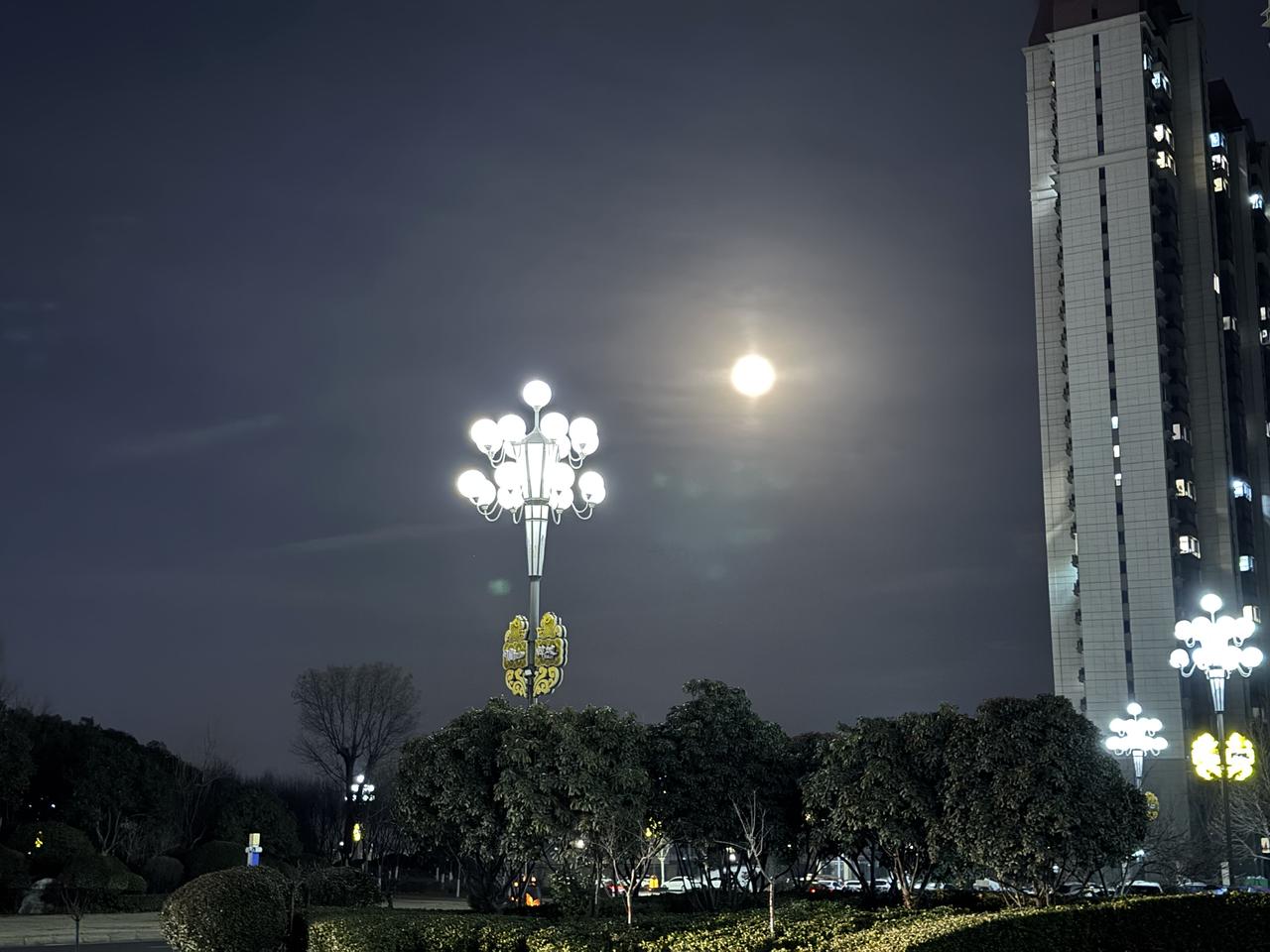 我的家乡韩城，是个宝藏之地。它是陕西建制史最悠久的县域之一，有“文史之乡”的美誉