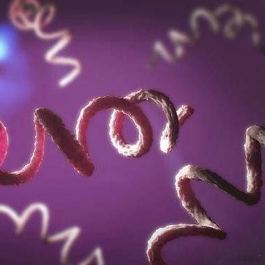 《警惕隐藏在“痴呆”背后的神经梅毒》一家人都觉得不可思议，家人赶紧将陆先生送到医