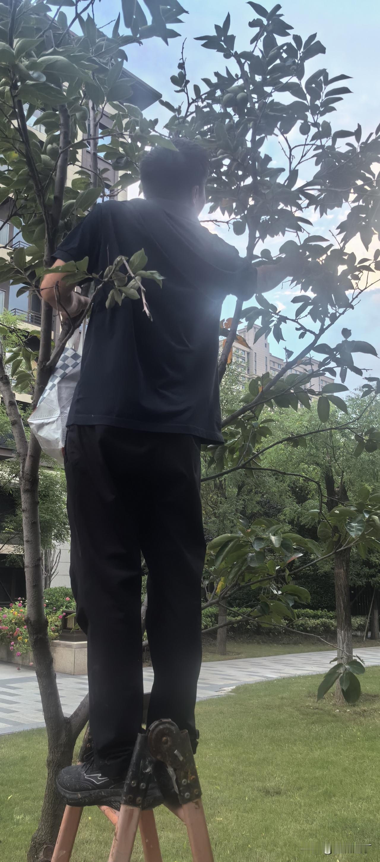 怪不得男人都需要女人仰望，原来，仰望可以让男人如此高大呀。

春天从一位农村大姐