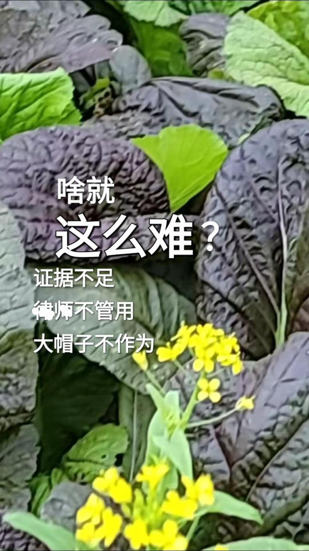 事到临头不自由。