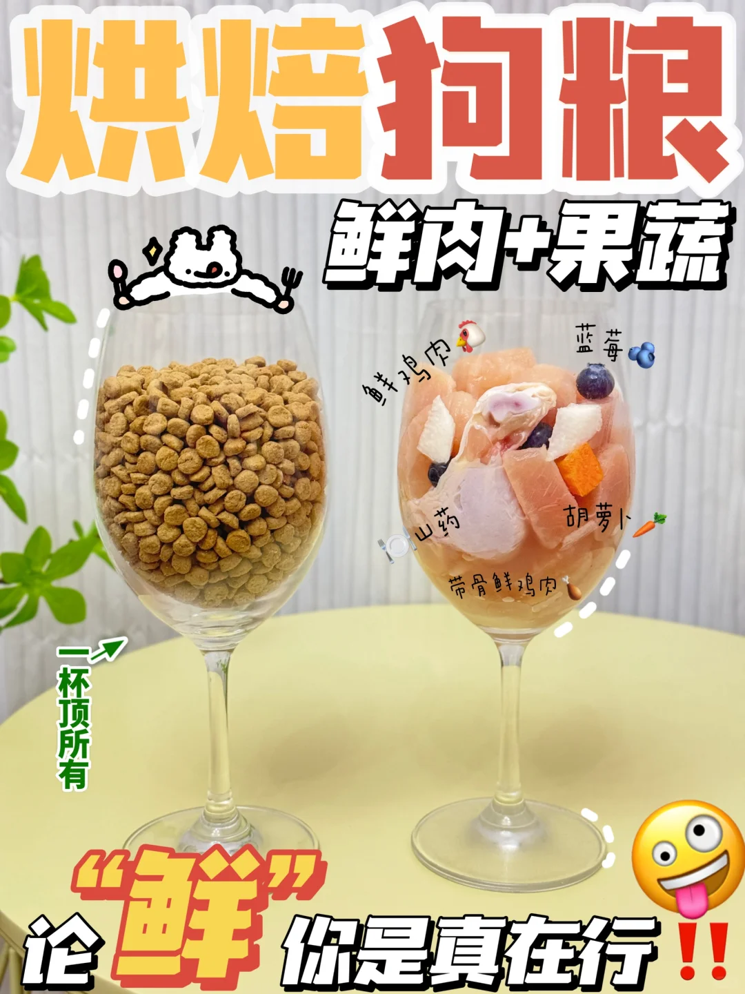 什么？居然会有这么鲜的烘焙狗粮！