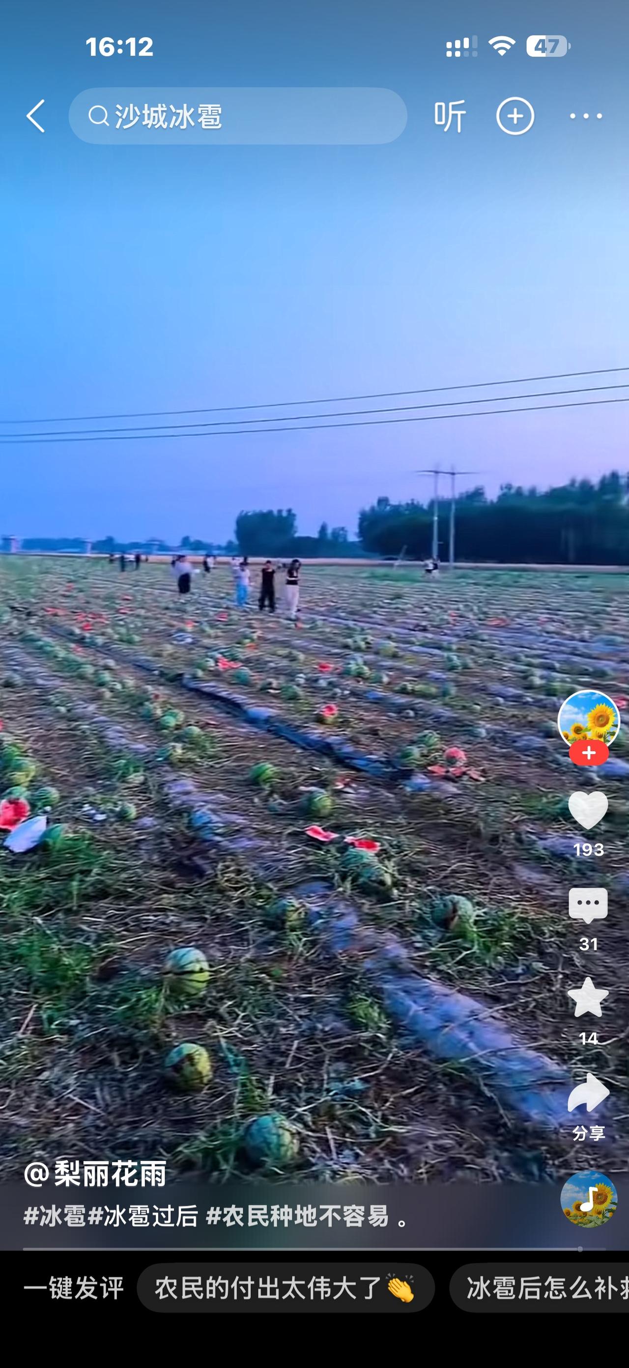 六月天降“暴雪”！山西朔州沙城突遭冰雹重创，满地裂瓜烂果，农民一年心血全碎了
