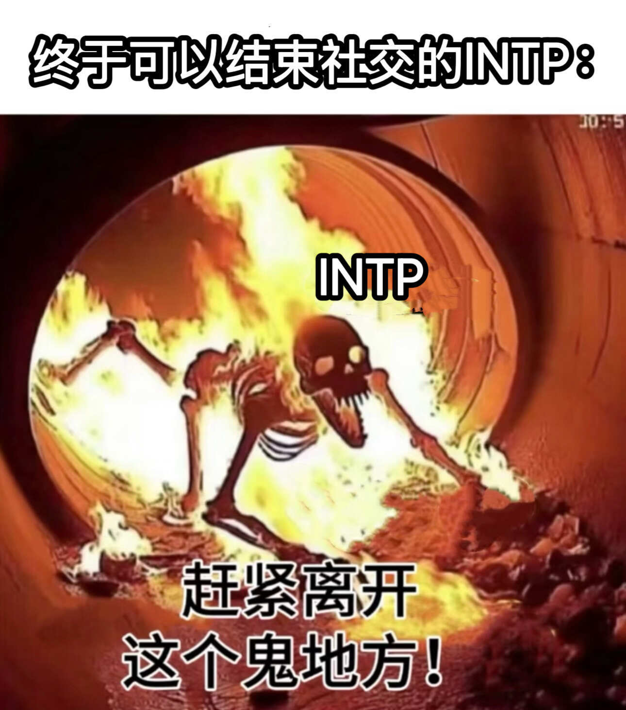 INTP的两副面孔 