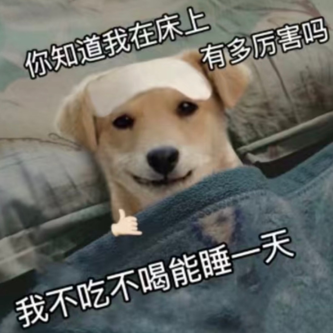 超长持久#meme# ​​​