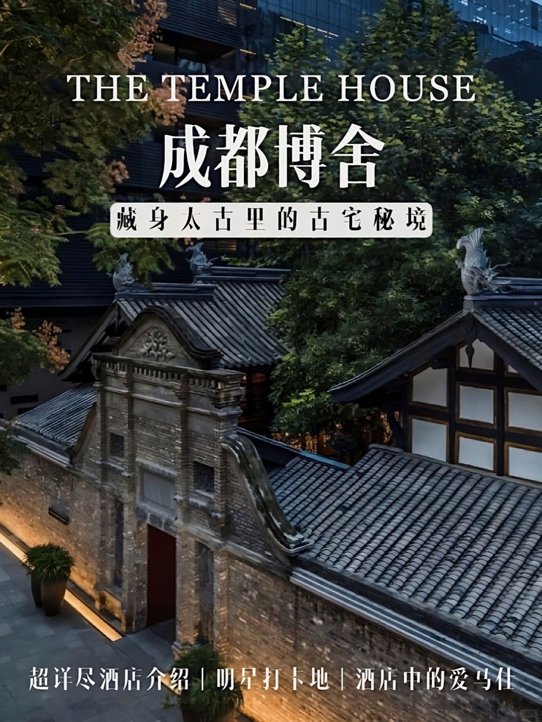 感激王鹤棣🙏宋茜让我找到成都酒店天花板