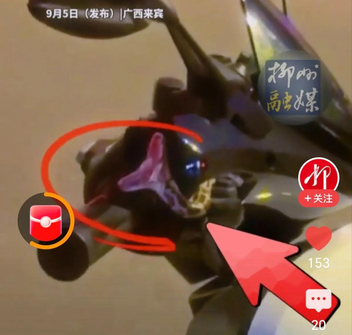 这也太离奇了，广西男子从电动车把手缝隙处揪出一条小蛇！

这新闻听起来确实很离奇