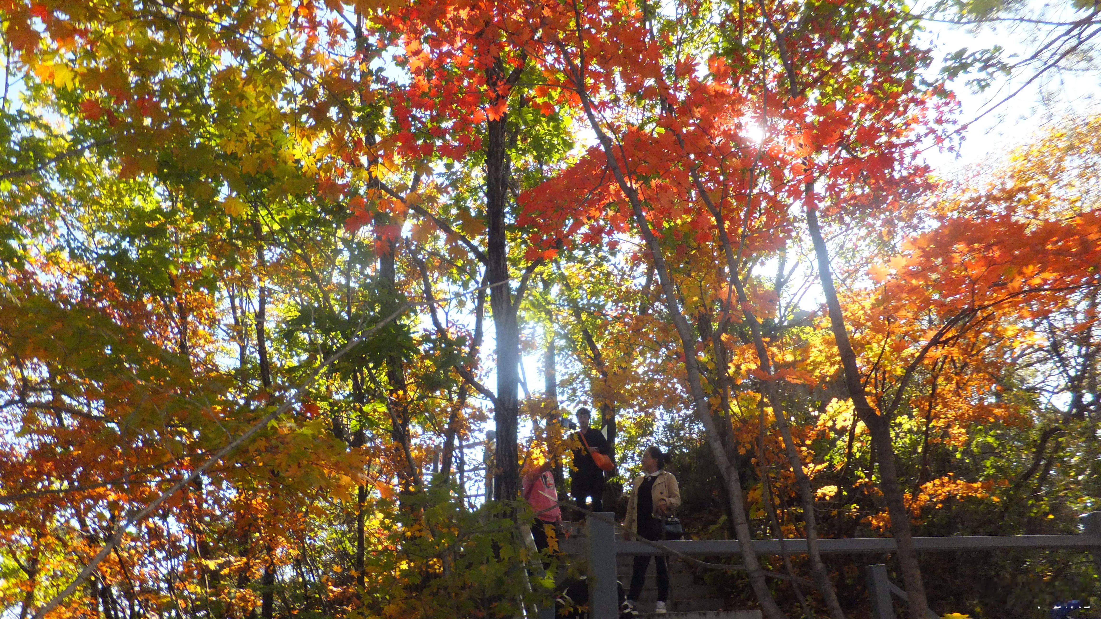 重阳节辽宁铁刹山登高祈福必选地 重阳节仪式感拉满！铁刹山登高祈福，愿家里长辈岁岁