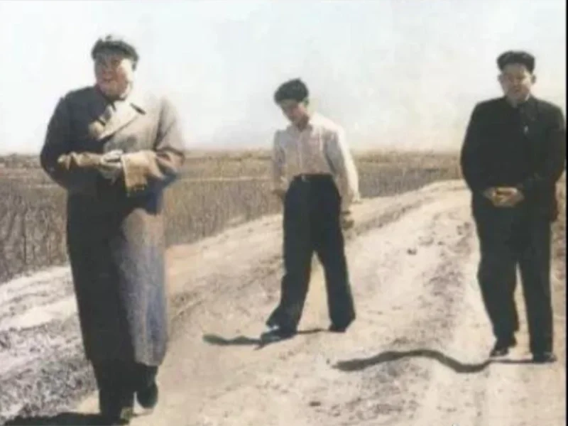 贴身卫士｜1959年