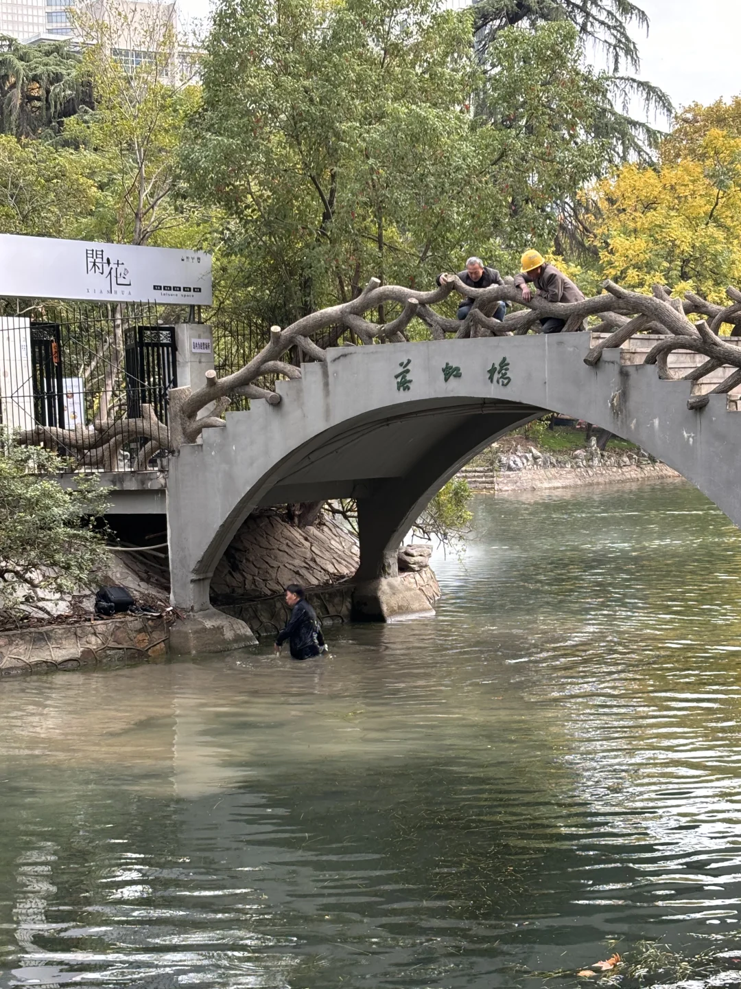 中山公园，发生了啥？？？？？？