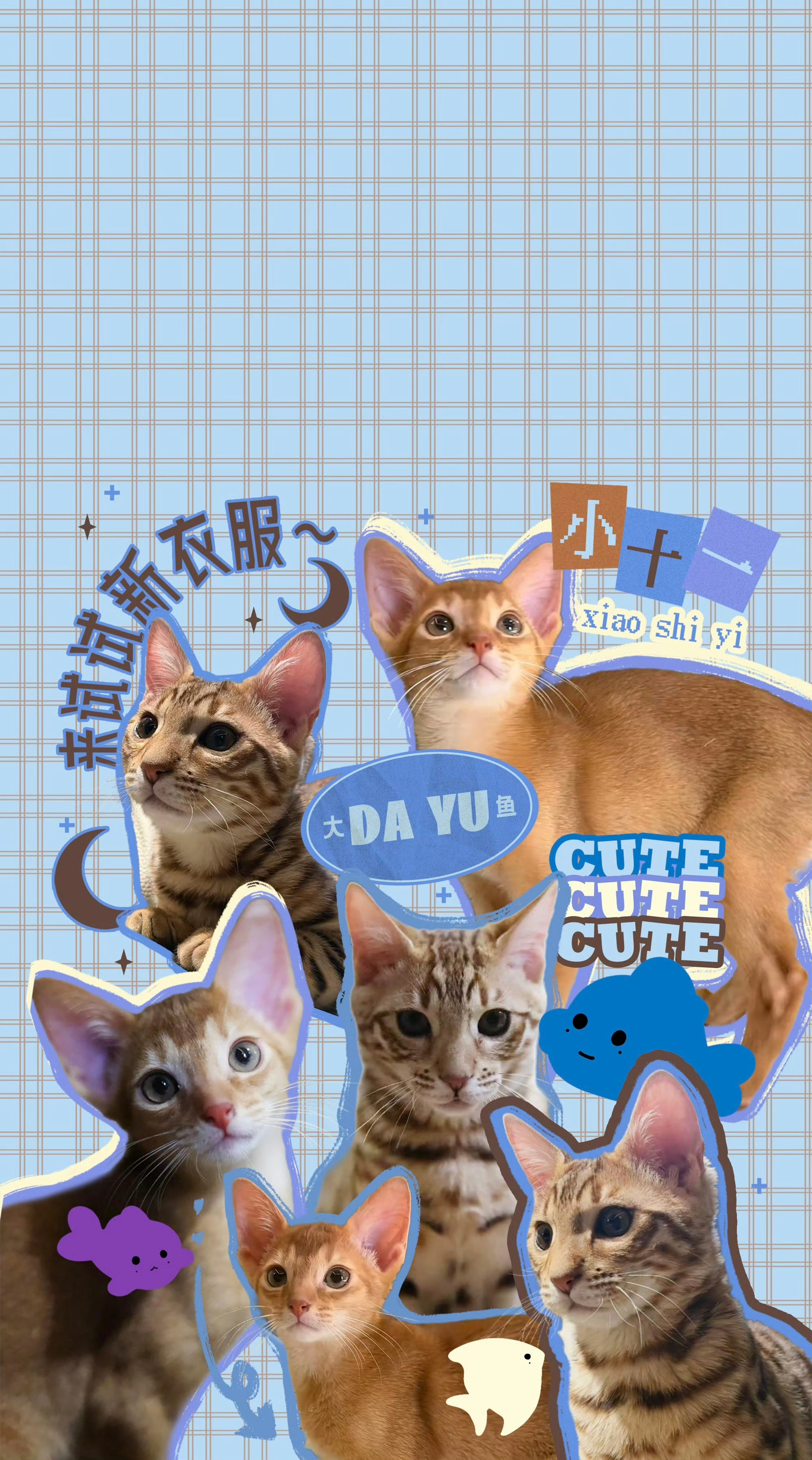 梓渝手机壳原图左边看萌 上面看萌 全方面看萌 怎么看都萌 