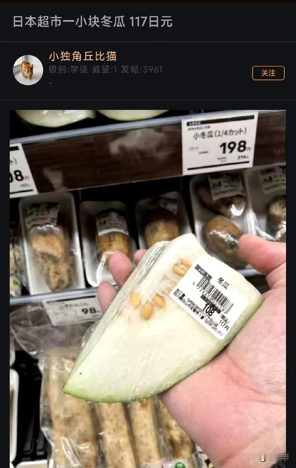 这么小一块卖117日元（ 约合RMB5块多），这冬瓜是金子做的还是银子做的。想想