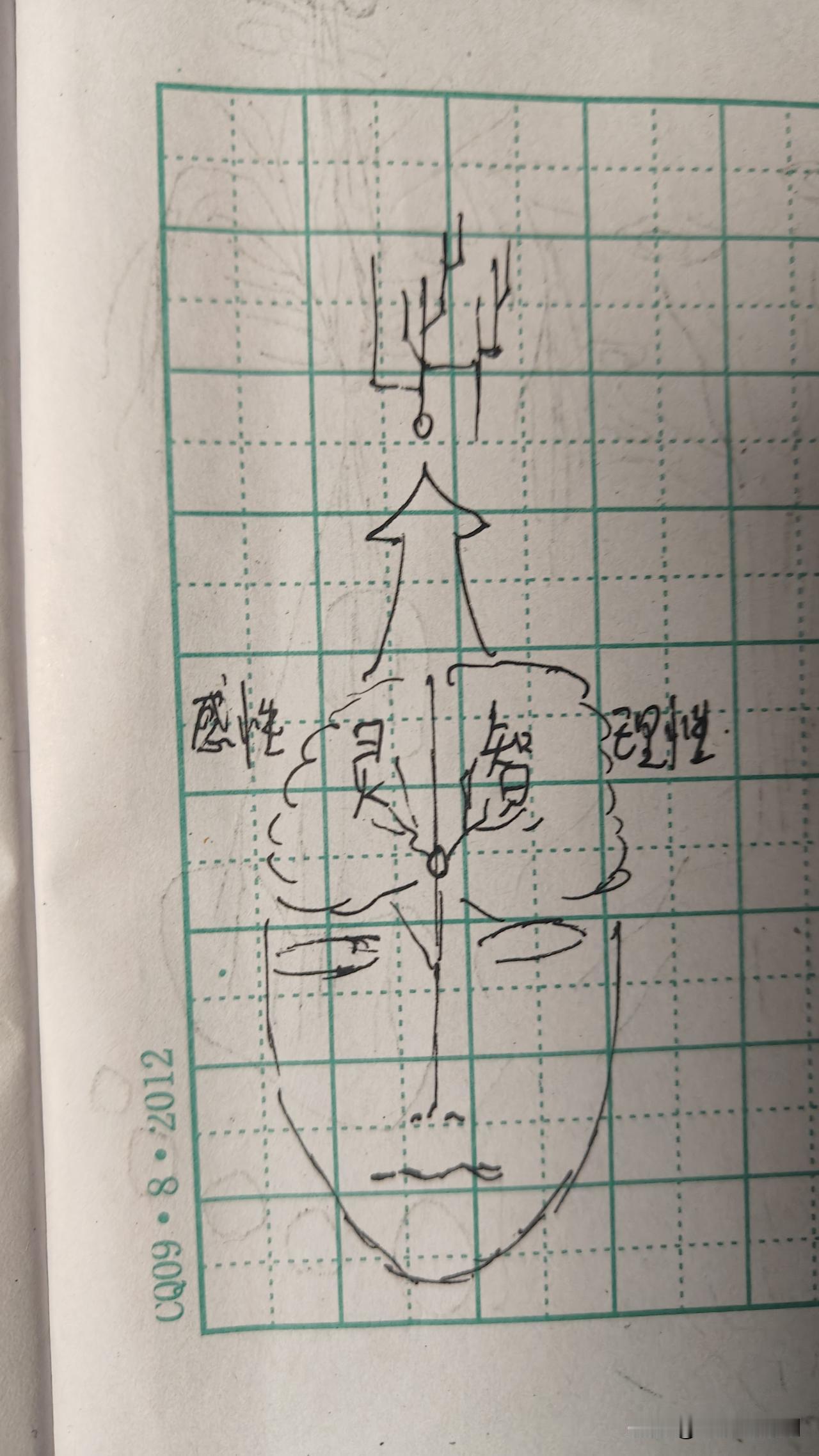 大脑藏着太极规律：男女大脑差异，竟是阴阳分工？
 
人脑左右半球各司其职：左脑主