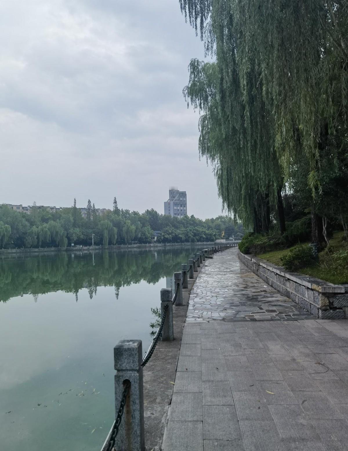 一位57岁的老教师，教了一辈子书，带了一辈子班，评高级职称却年年陪跑。
他不是不