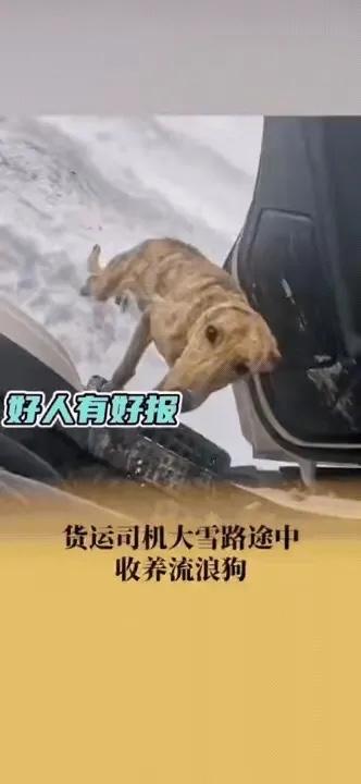 徐先生是一名大货车司机。近日，在气温低至零下 20° 的锡林郭勒，他停车准备开门