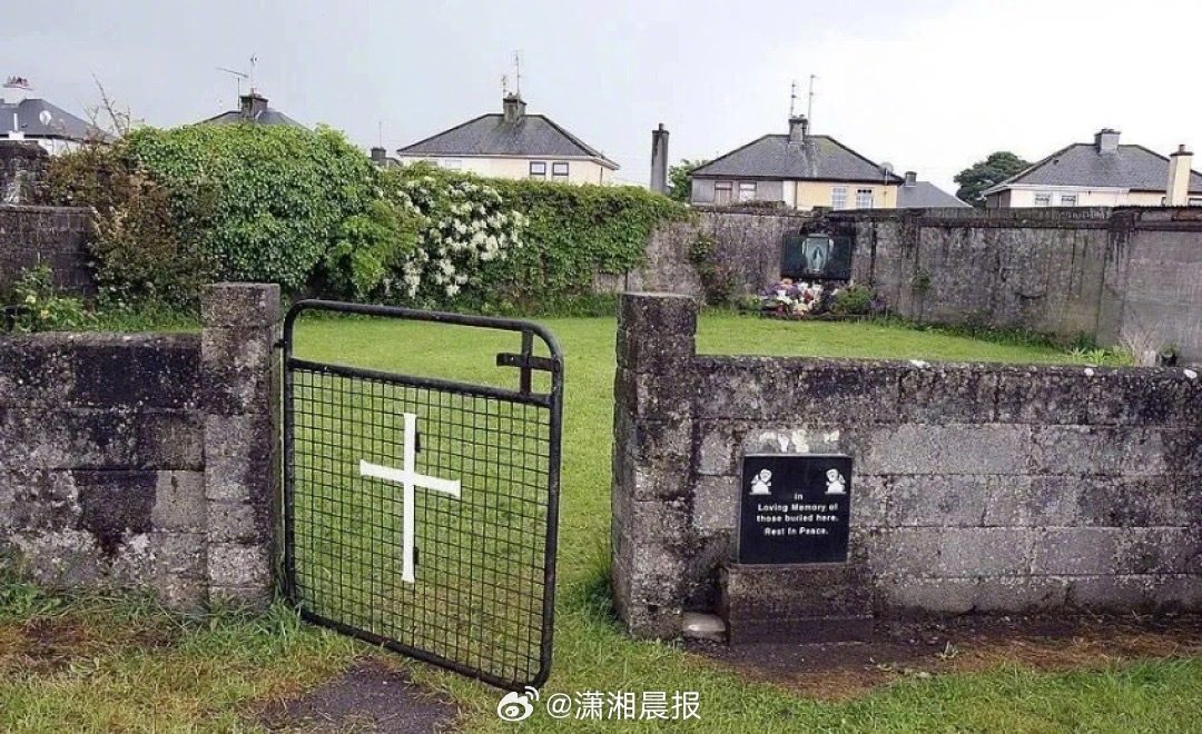【#爱尔兰一母婴院发现大量婴幼儿遗骸#，将启动一母婴机构旧址的挖掘工作】爱尔兰一