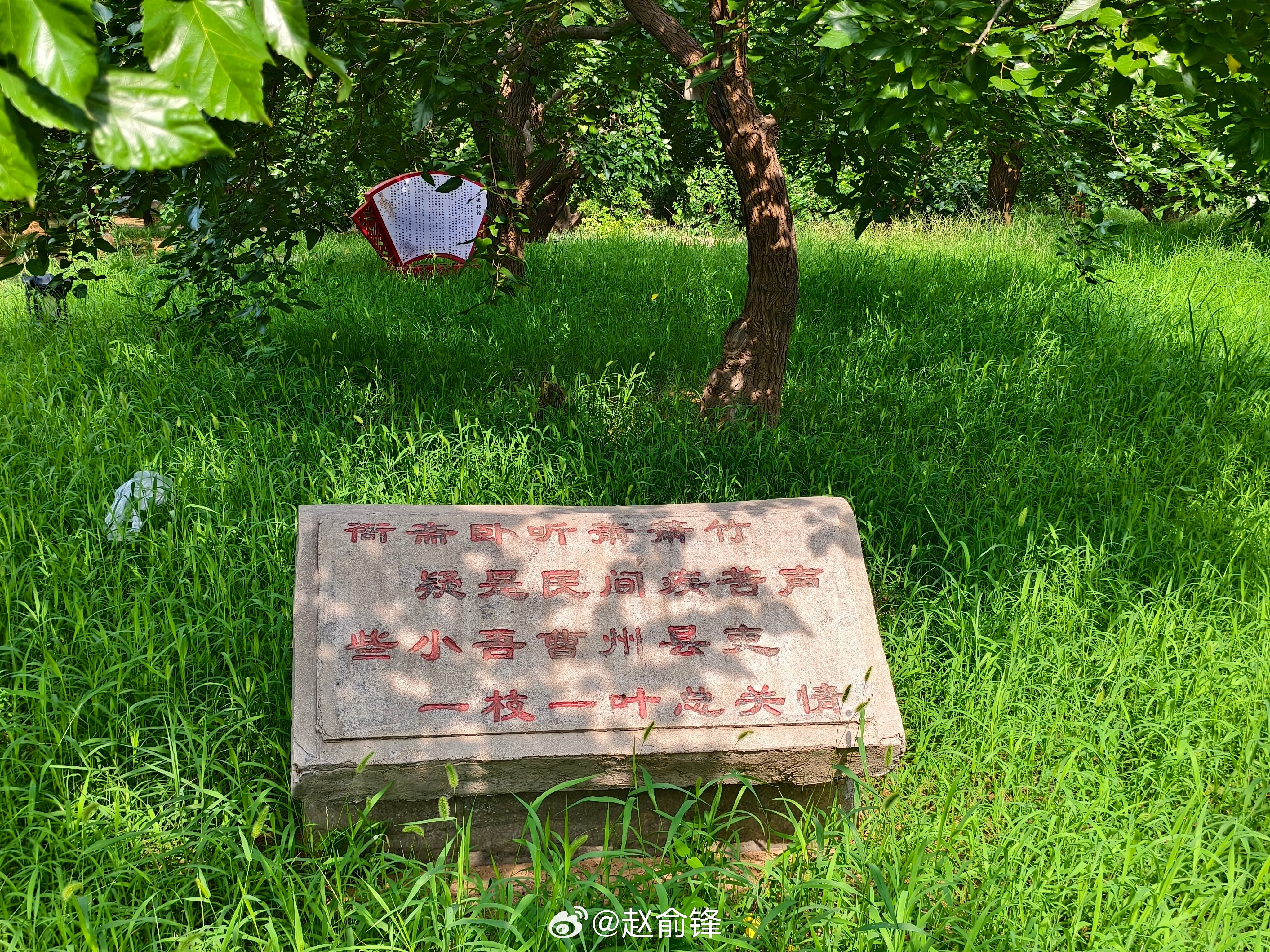 曲阜师范大学社会实践【普及生态保护理念，提升群众护绿认知——黄河桑源守护实践队开