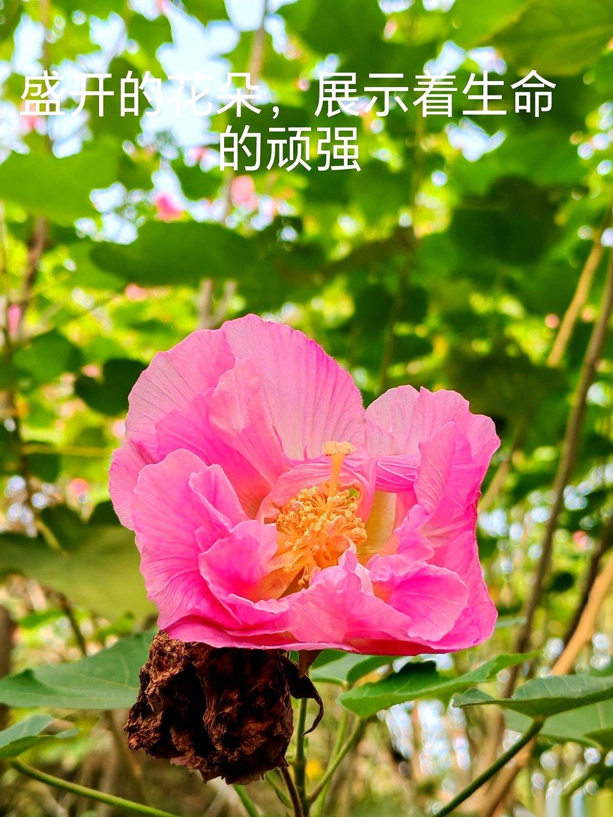 聊聊最近这个规则。
今天，一只无形的手伸过来，把屏幕上的“100”抹掉，轻轻写上