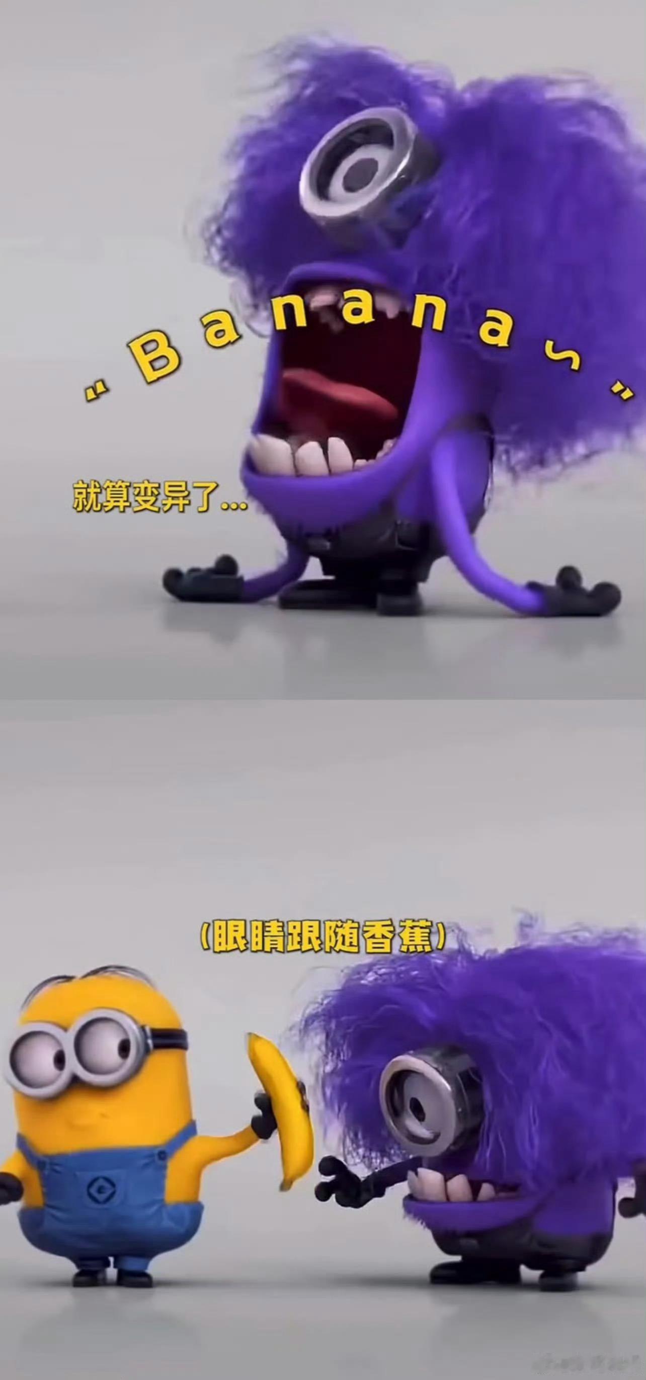小黄人全世界最尊重香蕉之人从初代短片到正传电影，小黄人对香蕉的偏爱从未改变。他们