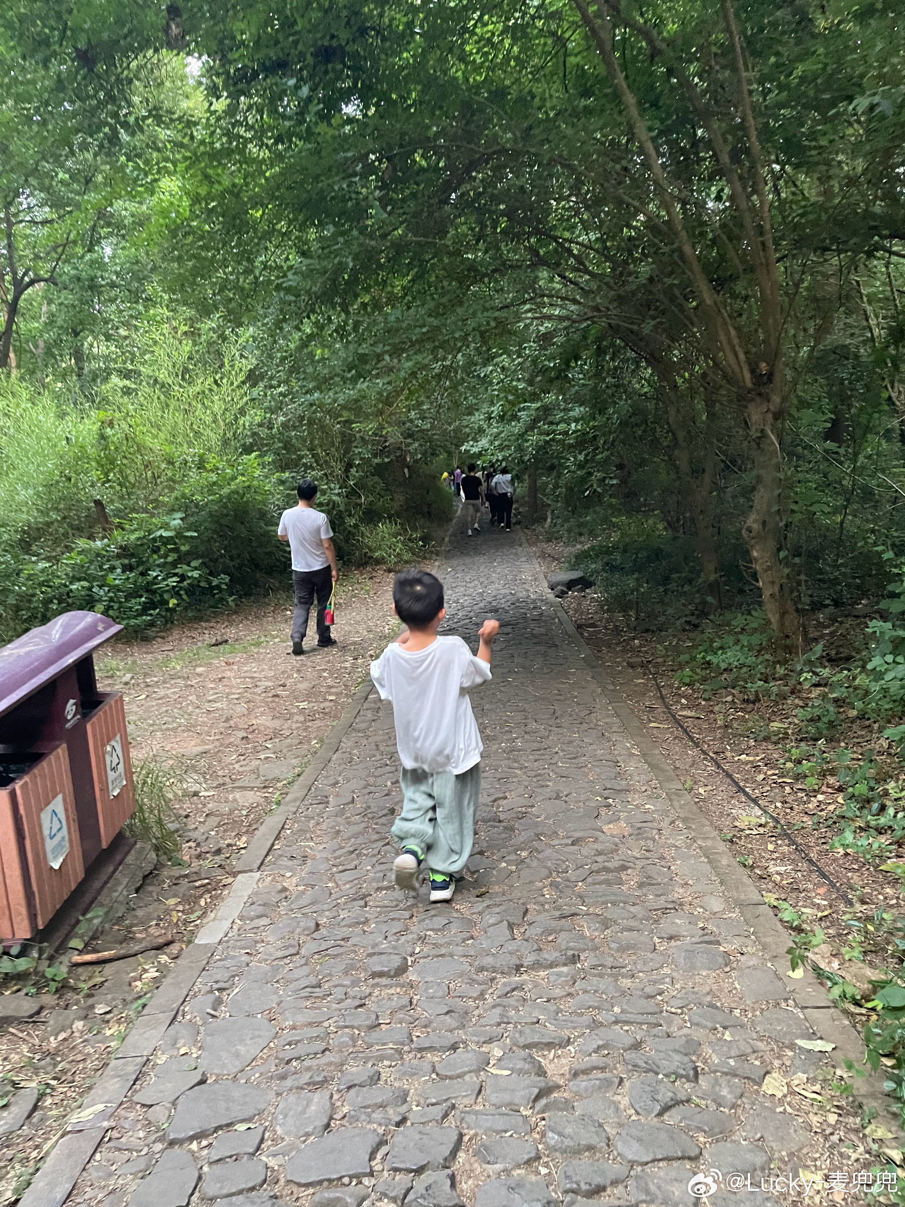 今天上山很快，下山也很快但是下山的时候我们热衷走小路结果跑偏了应该去南门，下到了