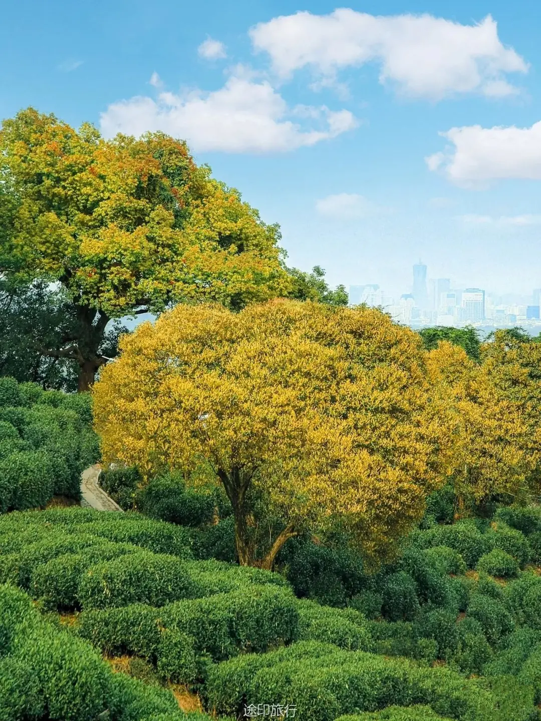 上海周末杭州梦幻汤屋，10月限定桂花之约