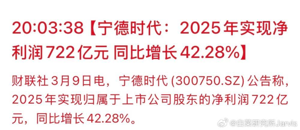 宁德时代2025年净利润722亿元 那啥，前几天总有人在我下面评论什么短刀什么的