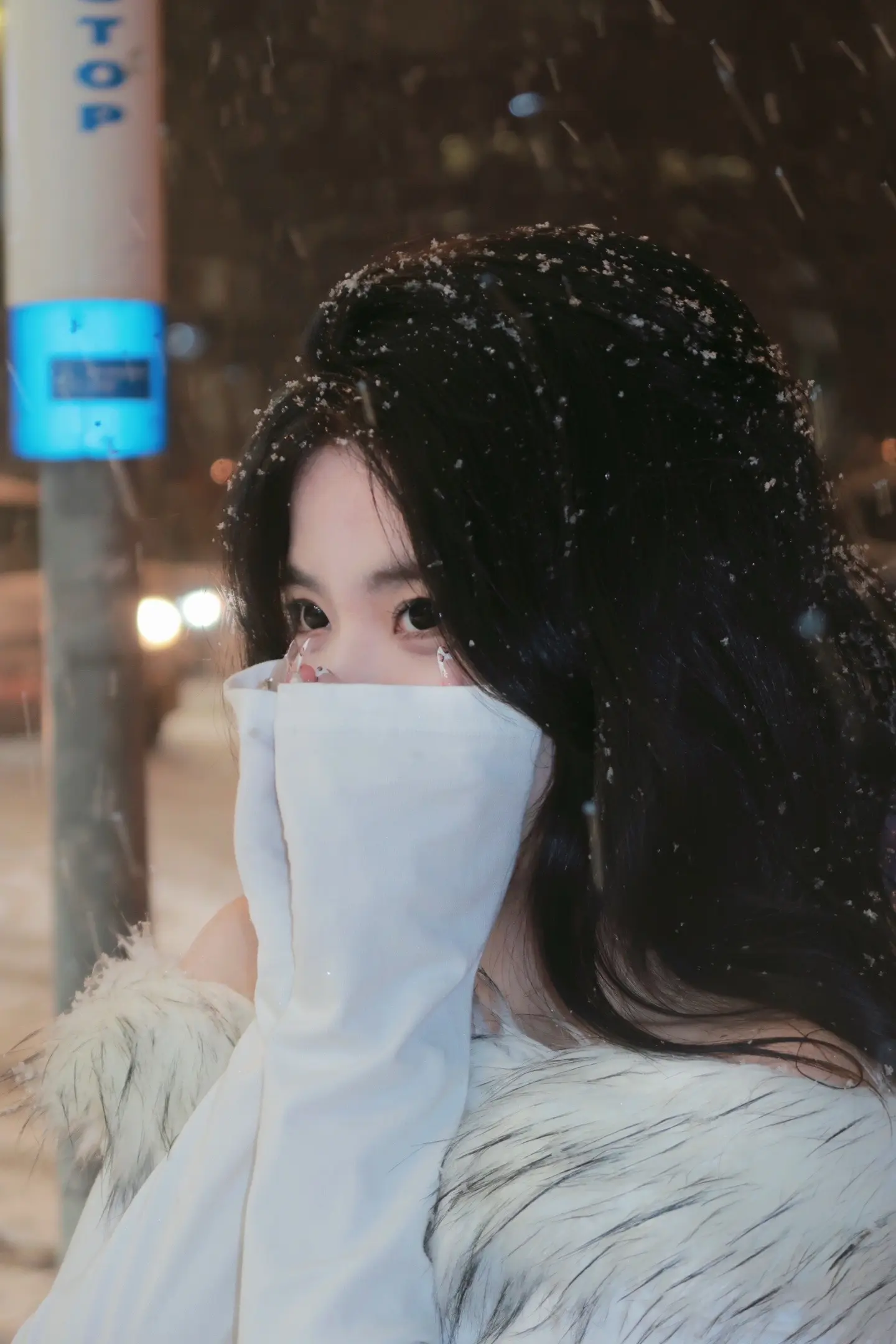 *｡✲ 🎄𓊘 ❄️。 青春疼痛文学
