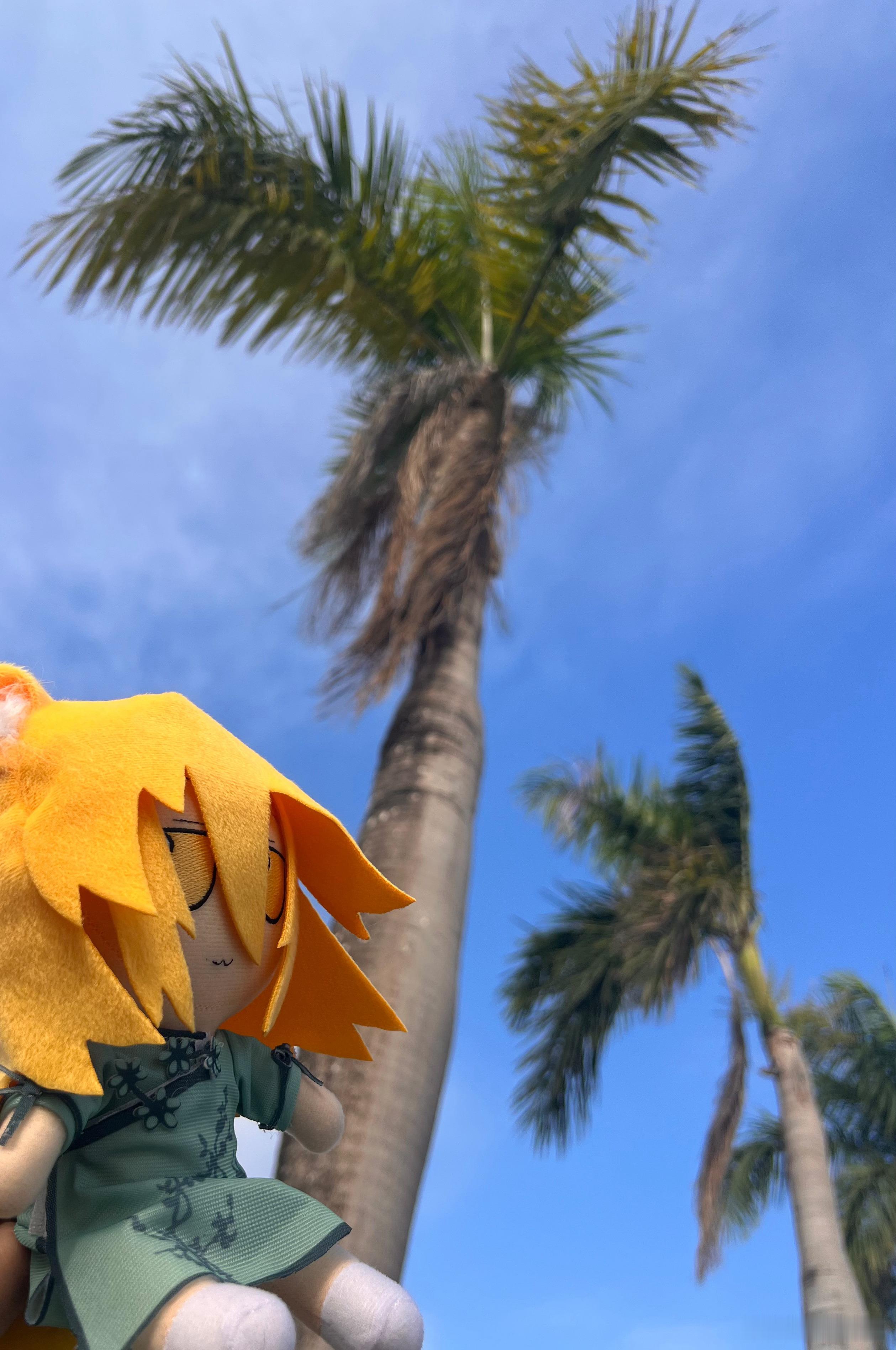 带着典来暖和一下 三亚·三亚凤凰国际机场