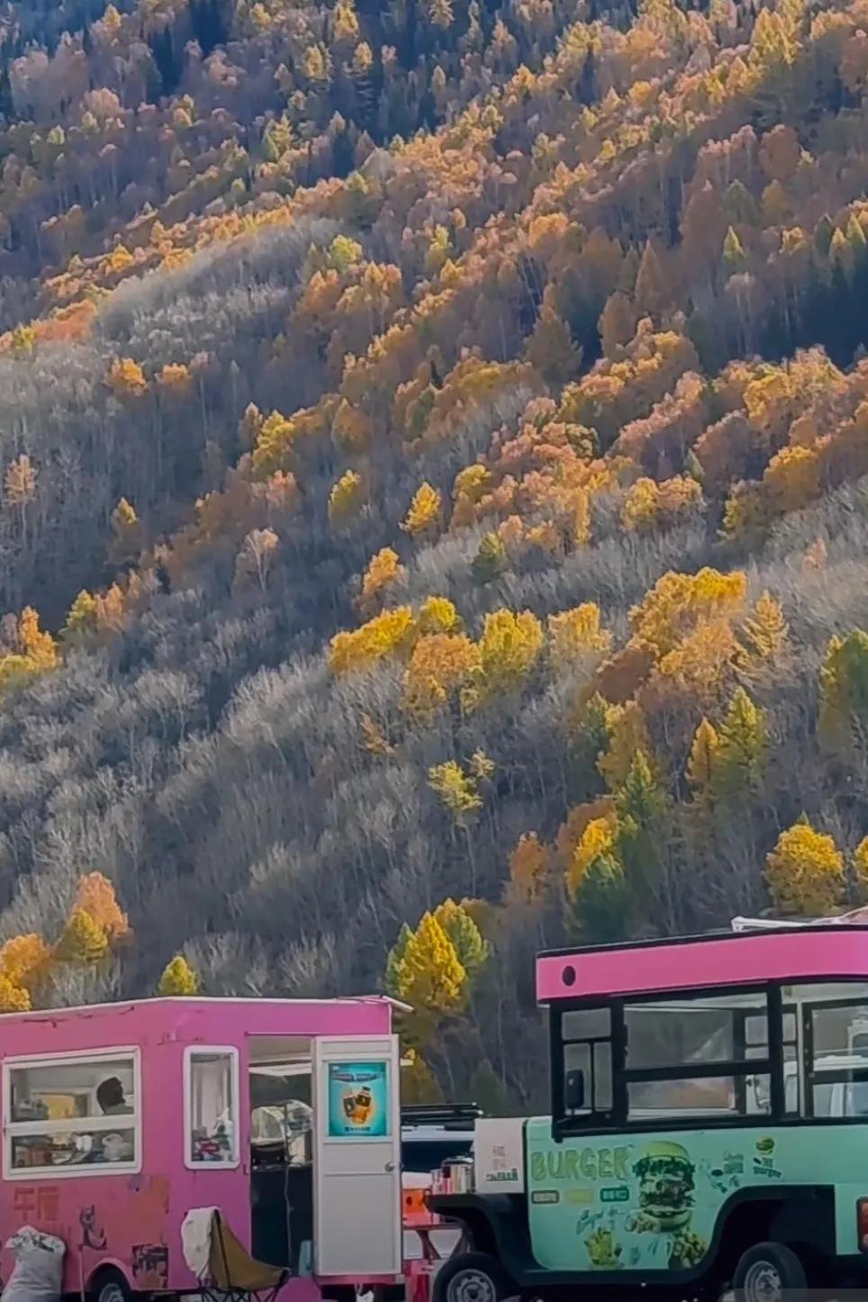 天山秋景

天山秋意浓， 
峡谷染金风。 
霜叶飘如火， 
峰峦映日红。