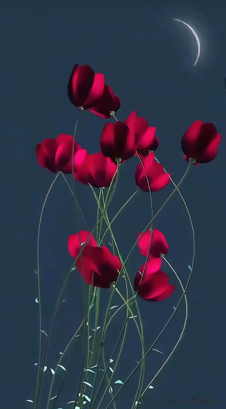 有了钱，
你才有资格冷漠，
你才能独来独往。
钱不是用来合群的，
而是用来拒绝的