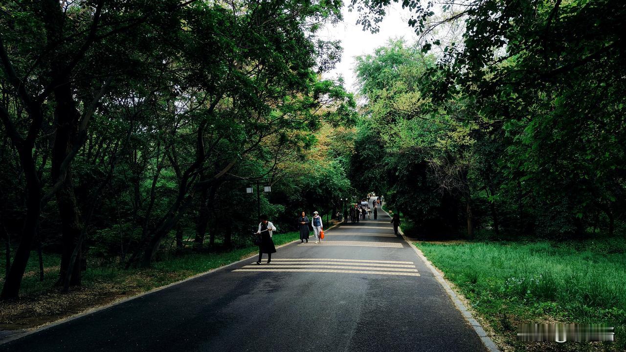 #随手拍我的家#晨练#发现路边的美景#