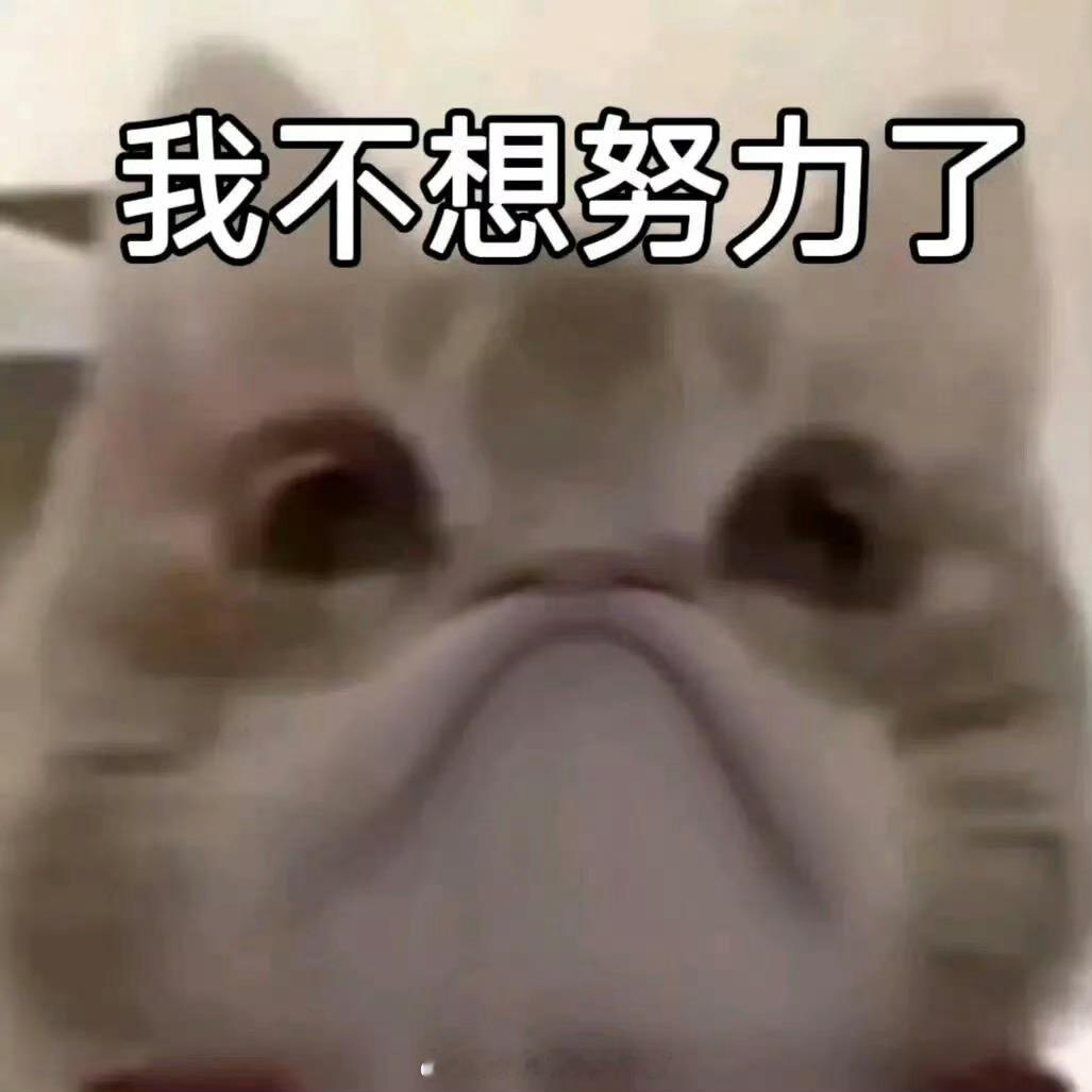长这么大终于听懂了商鞅变法我的知识都跟着我就饭吃了肿么办不管多大懂了就行