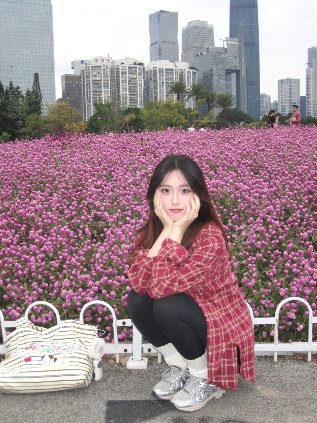 广州塔下超大片紫色花海🌸错过等一年！