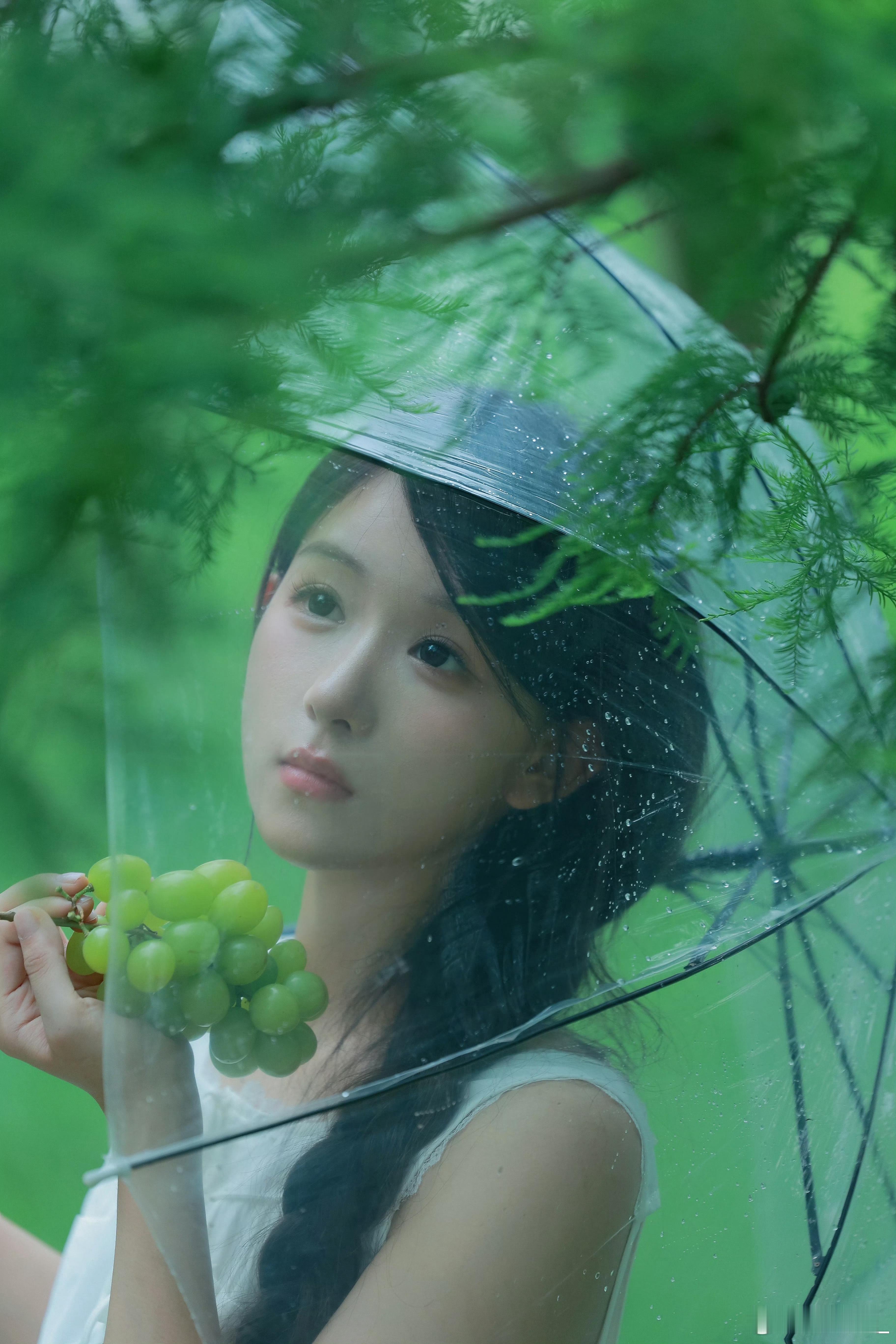 潮湿的绿意 ​​​摄影:​​​
