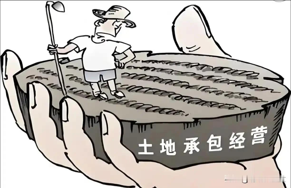包工头回村包地200亩，一年白干！他说出农业真相，句句扎心！

老刘在省城干了十