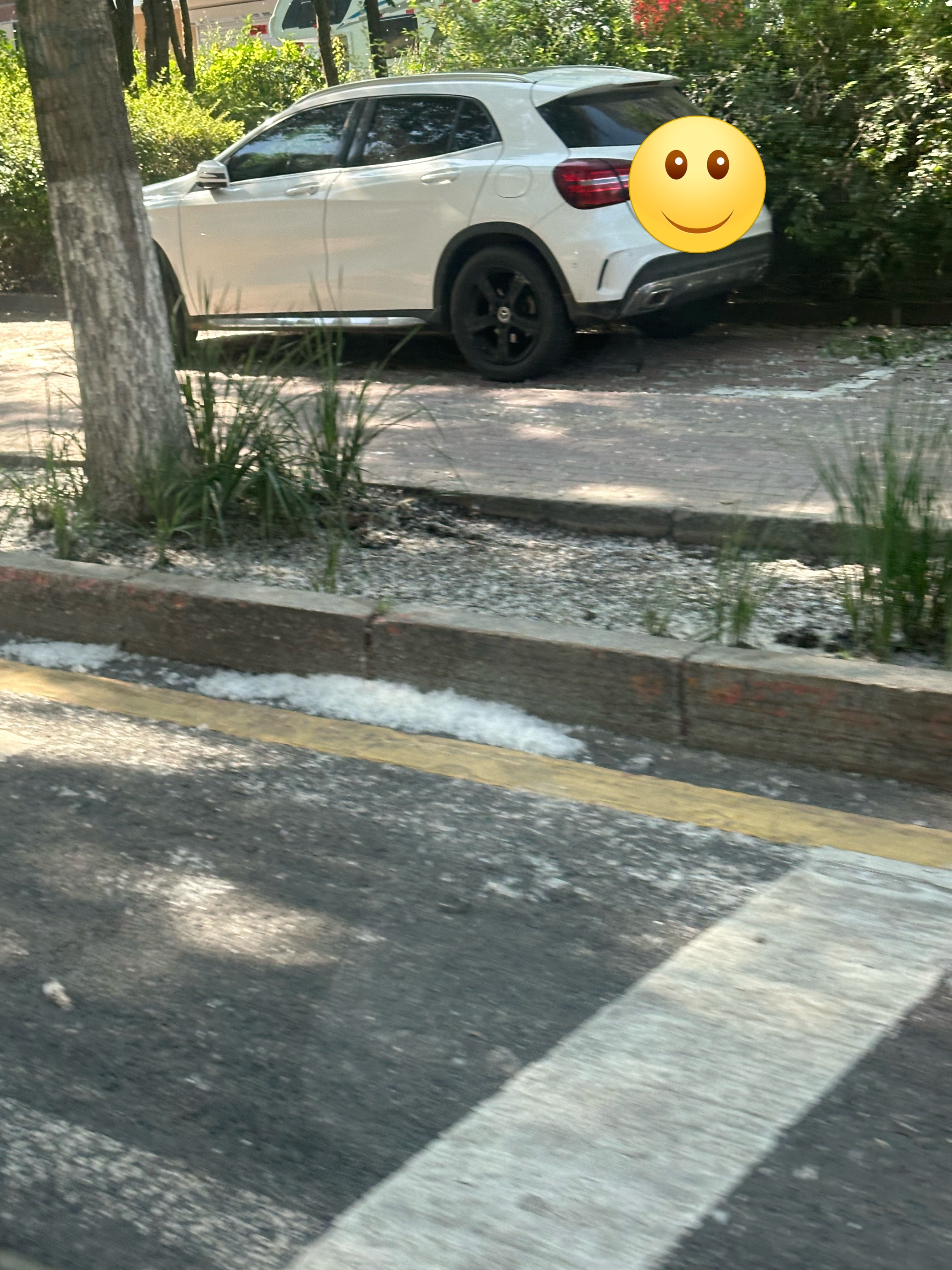 送去上学了🎒今天天气放晴了也热了，幼儿园喷了冷气水蒸汽户外的时候还挺凉快。路边