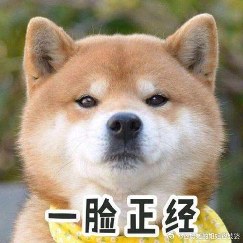 极客湾遇到检查时候，哪个单位不把最好的一面显示出来？厂家费心费力去迎合自媒体人，