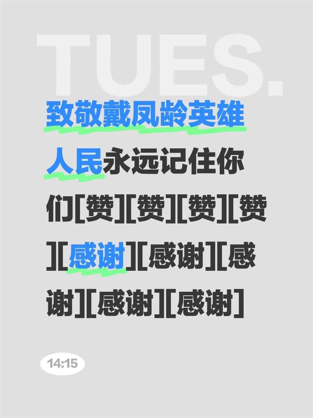 致敬戴凤龄英雄，铭记英雄戴凤齢。我评论了@书山人物传 的作品：致敬戴凤龄英雄人民