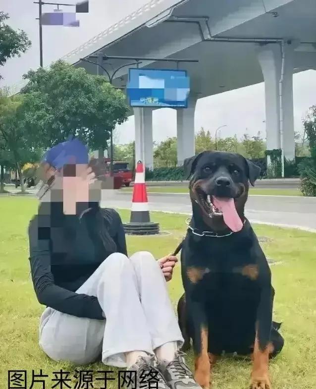 咬女童的恶狗主人，竟是个女孩！网传叫唐某依。女孩子说，这只大型犬平时挺温顺的，那