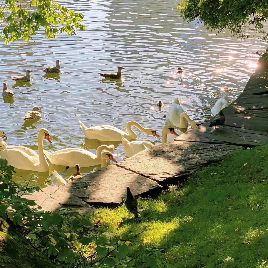 切记，剧场的戏，什么都是假的，只有观众是真的。人生的戏，什么都是真的，只有，观众