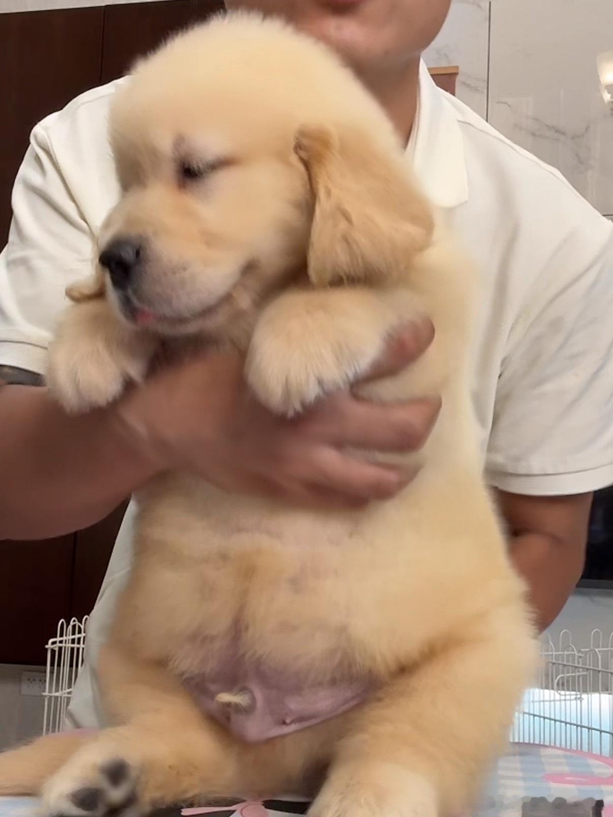 大面包嘎嘎嘎嘎 ​​​
