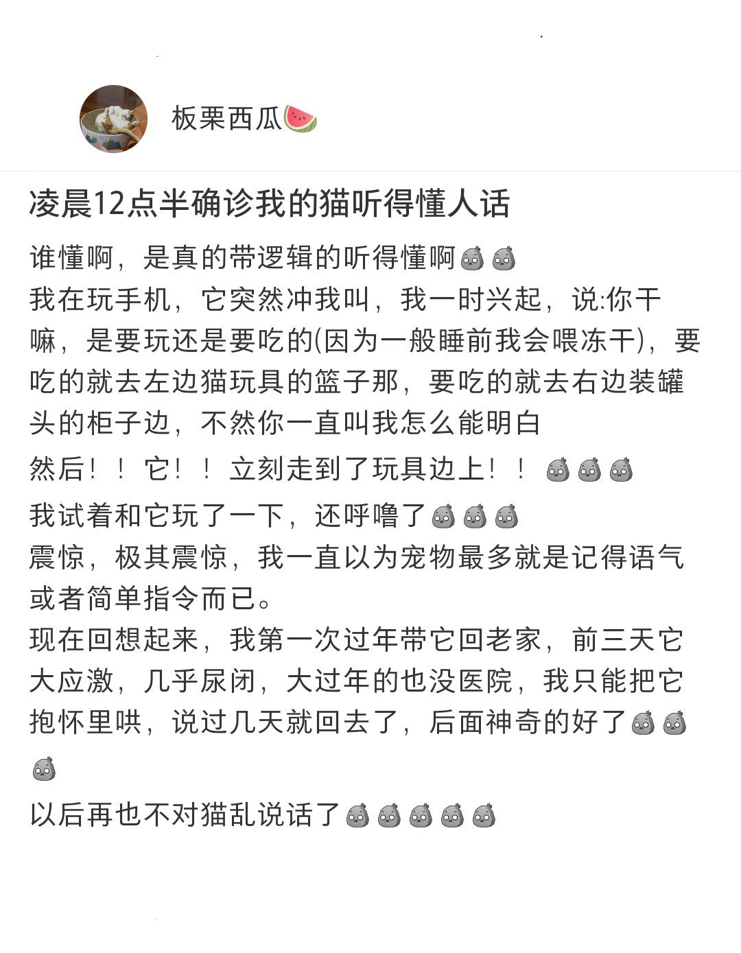 万物皆有灵，小猫真的听得懂人话[抱一抱] ​​​
