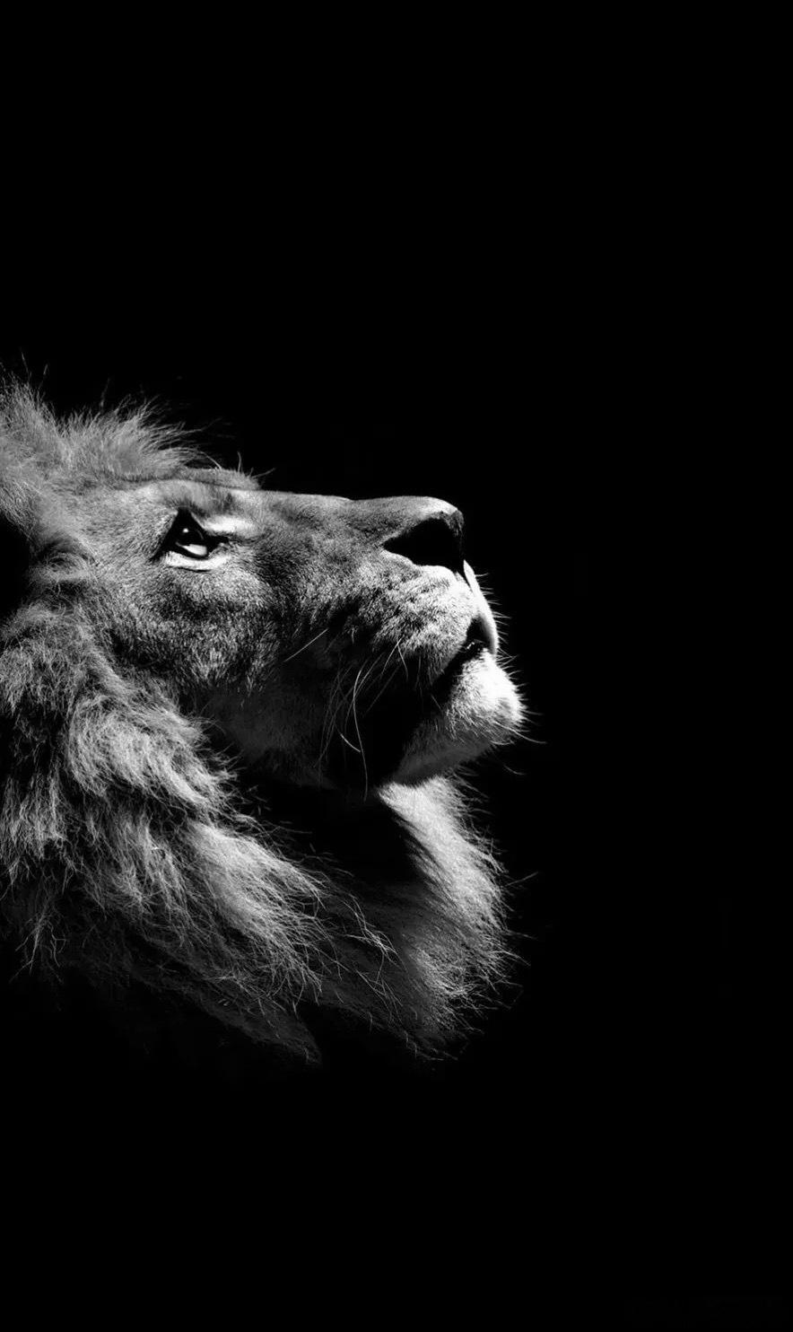 还是中国最安全🇨🇳 襄阳