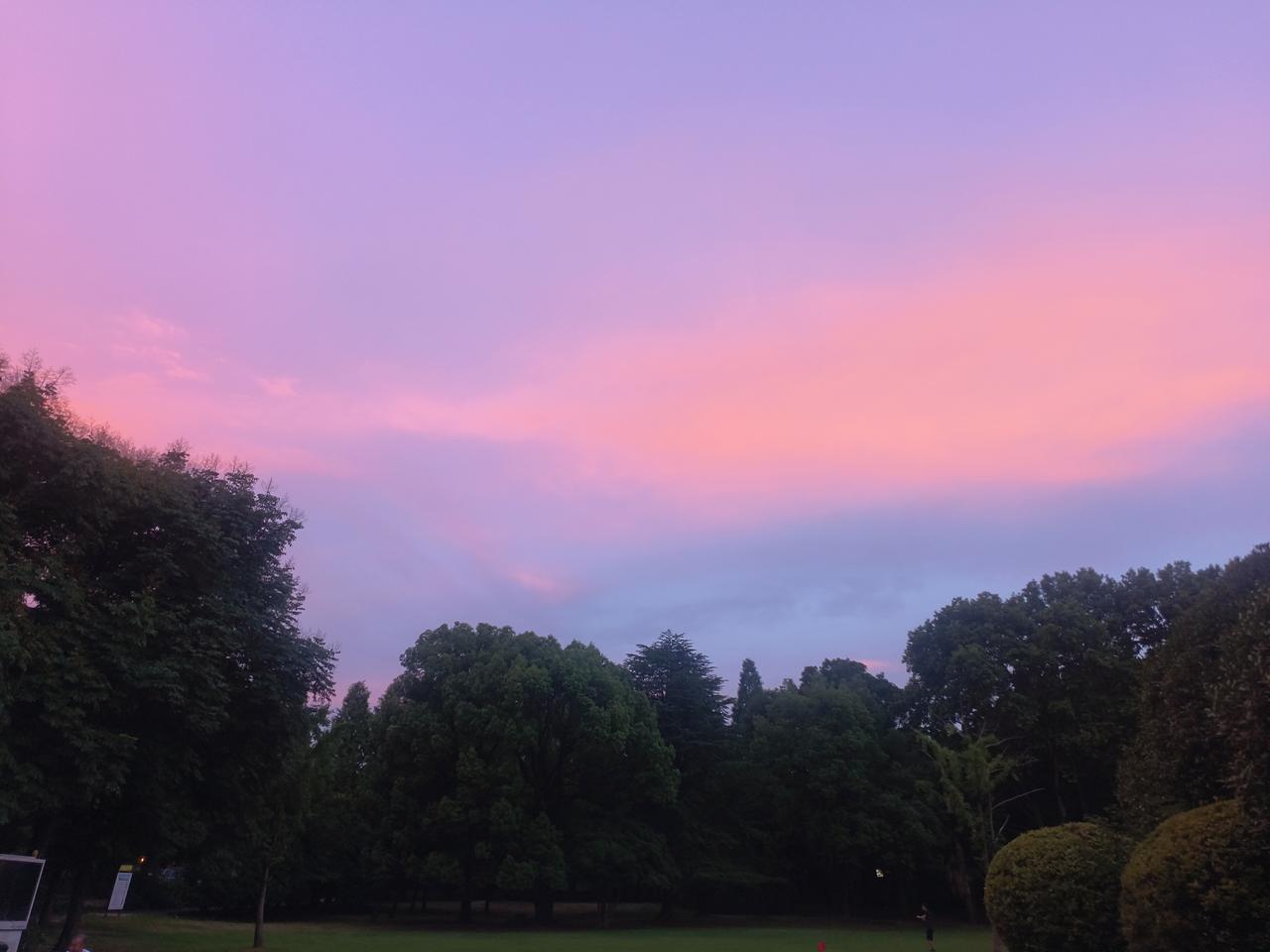 今天太热了，太阳完全下去，才敢出来走走，坐在长条椅上，抬头望去，天空那么美，这样