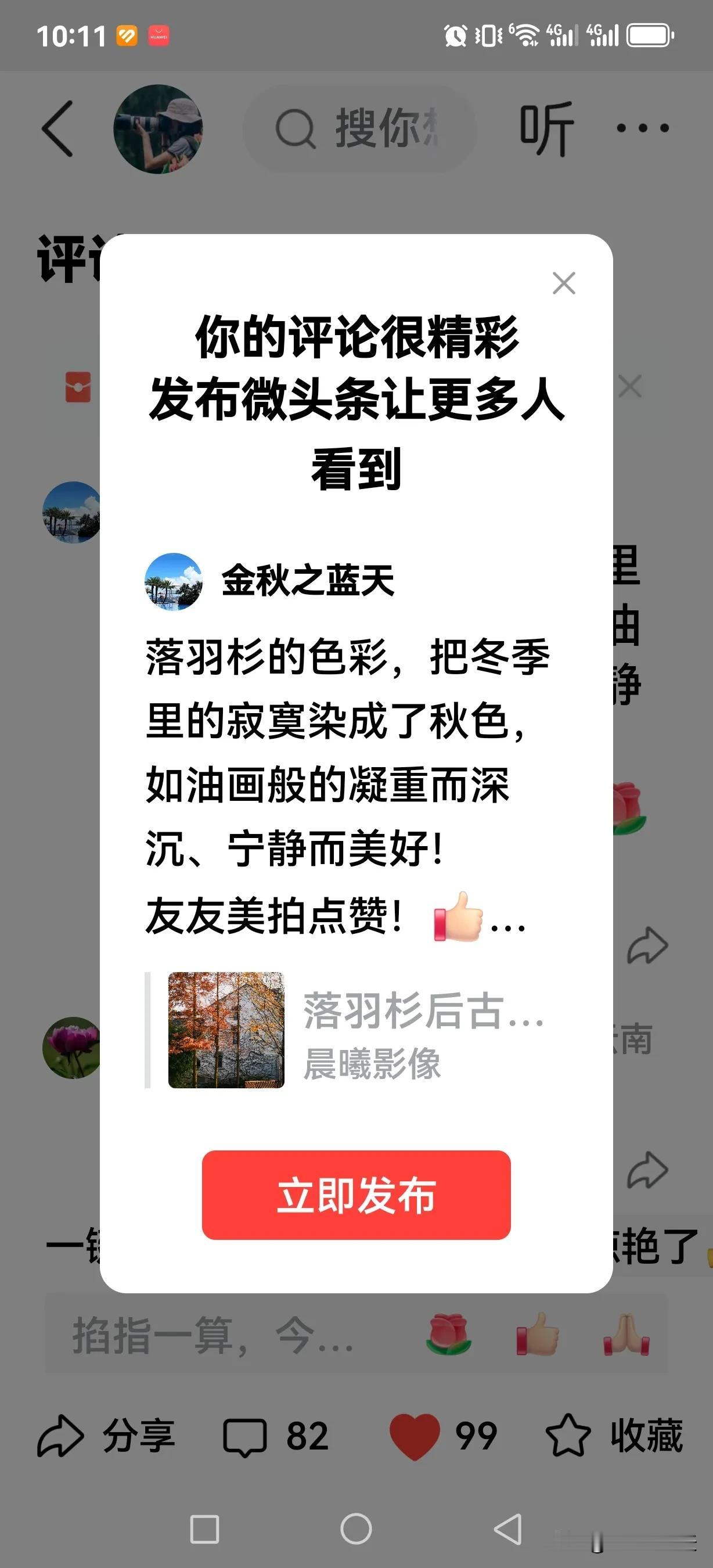落羽杉的色彩，把冬季里的寂寞染成了秋色，如油画般的凝重而深沉、宁静而美好！
友友