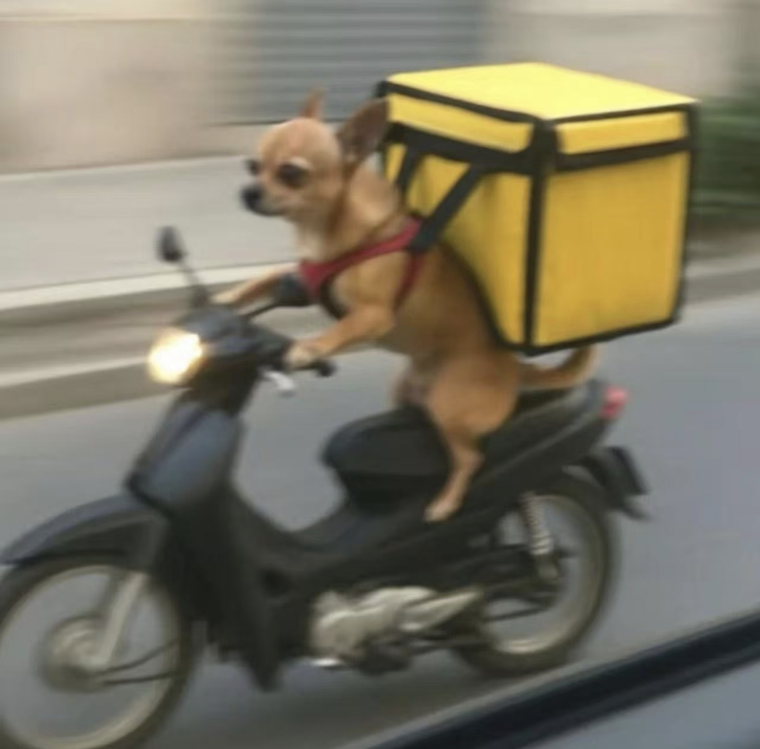 近期花的最快乐的一笔钱是干嘛的 ​​​