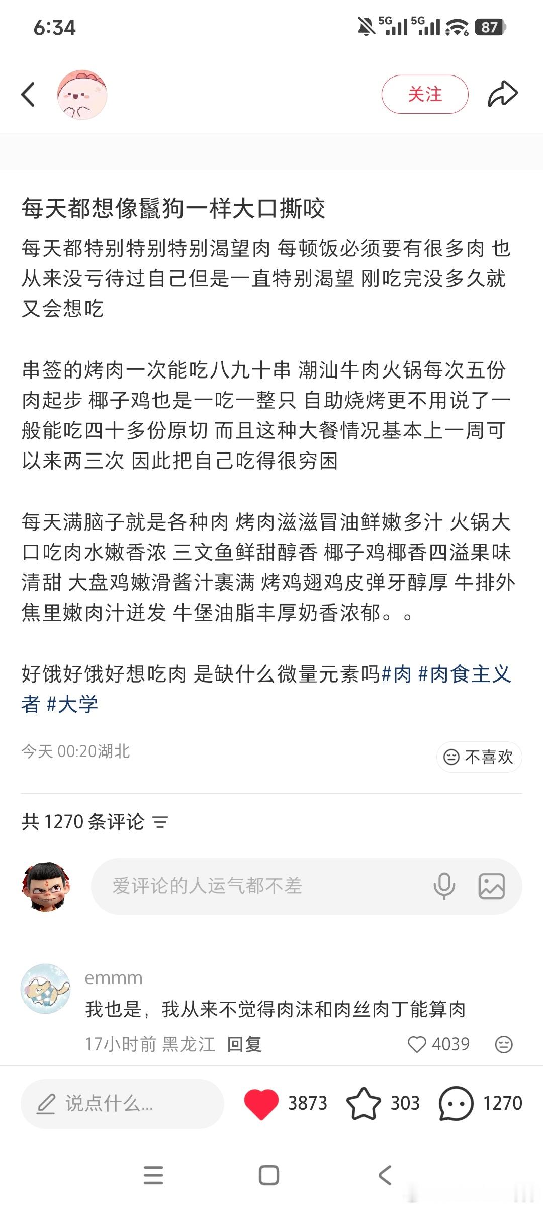 我也喜欢大口吃肉！红烧肉，牛排，羊肉卷牛肉卷，辣子鸡丁，烤肉，烤鸡腿，羊肉串，排