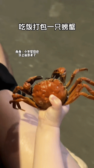 小朋友吃完酒席，打包了一只大闸蟹，路上满心欢喜地用那还没大闸蟹大的小手捧着，嘴里