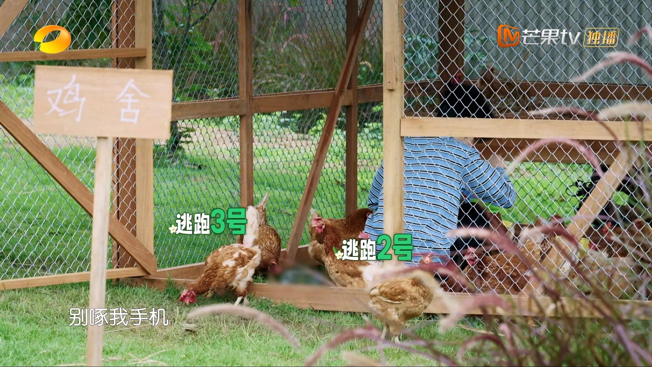 老公其实你那手机碎得也不怕被啄了王俊凯中餐厅10